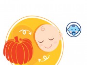 Sự phát triển của thai nhi tuần thứ 38