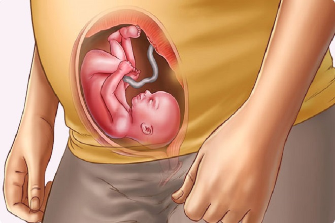 sự phát triển của thai nhi tuần thứ 21
