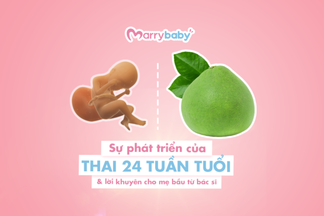 Thai 24 tuần phát triển thế nào? Sự thay đổi trong cơ thể mẹ