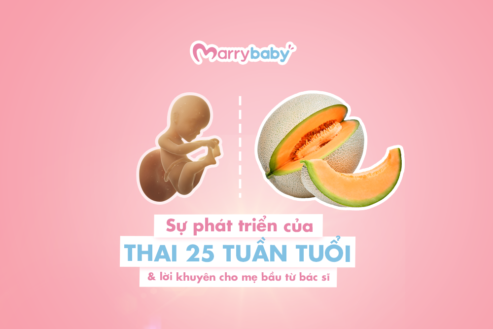 Thai 25 tuần phát triển như thế nào mẹ đã biết chưa?