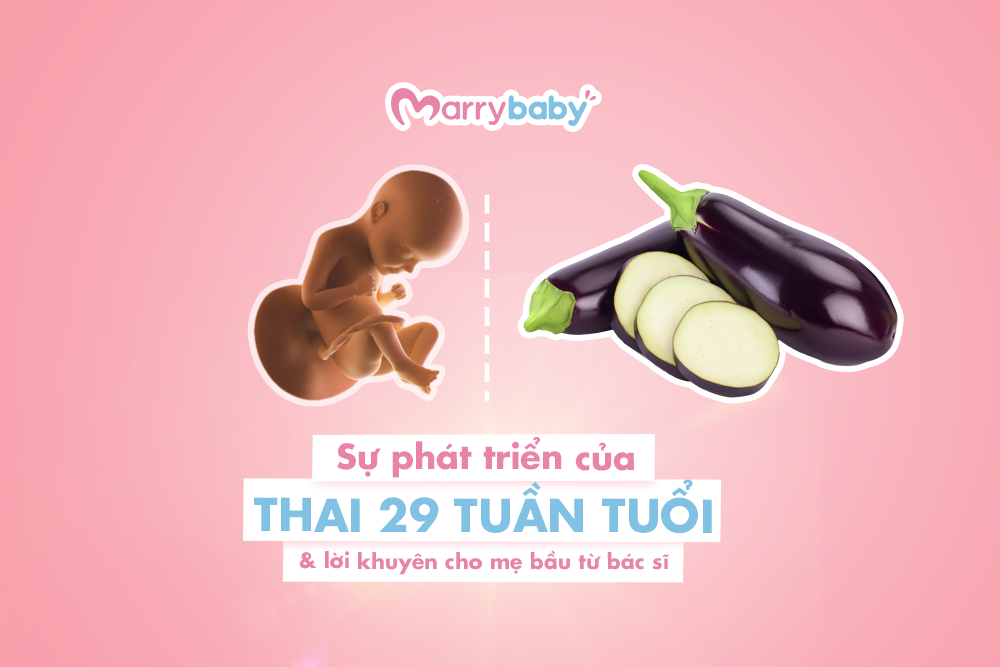 Thai 29 tuần: Sự phát triển của con và thay đổi cơ thể mẹ