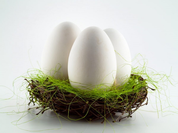Bà bầu có nên ăn trứng ngỗng khi mang thai không?