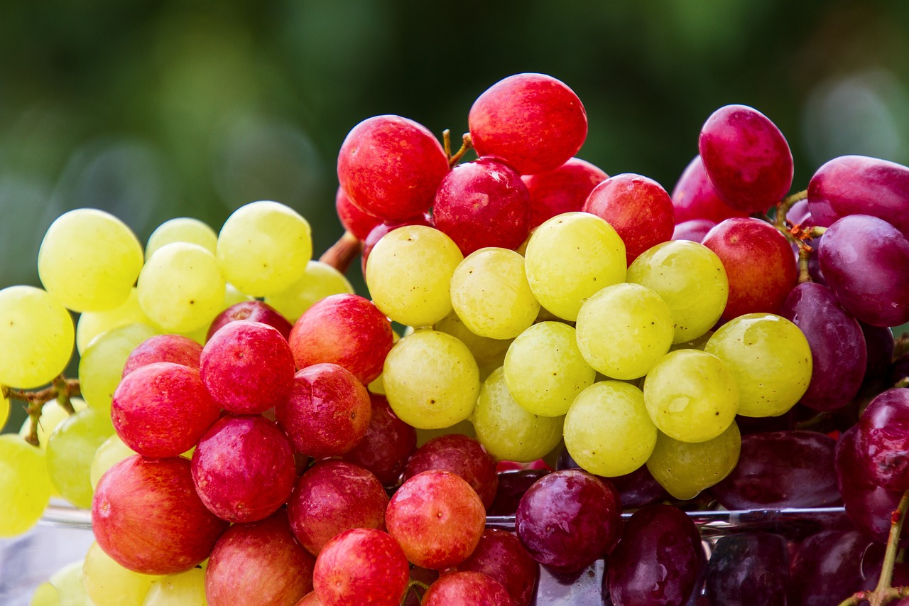 Bà bầu nên ăn hoa quả gì vào mùa hè để bổ sung vitamin và khoáng chất?
