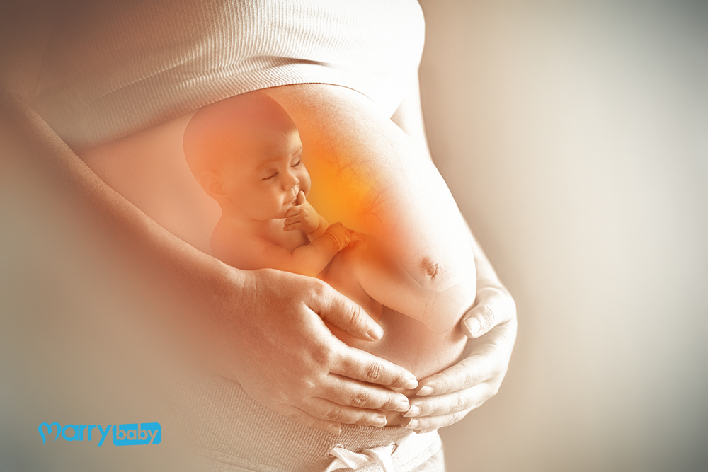 Em bé trong bụng mẹ: Bật mí "hành tung" của thai nhi