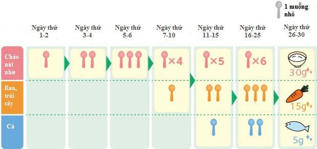 Mẹ nên bắt đầu với một muỗng nhỏ, và tăng dần khi bé đã quen