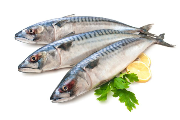 thực phẩm ăn dặm: cá giàu omega-3