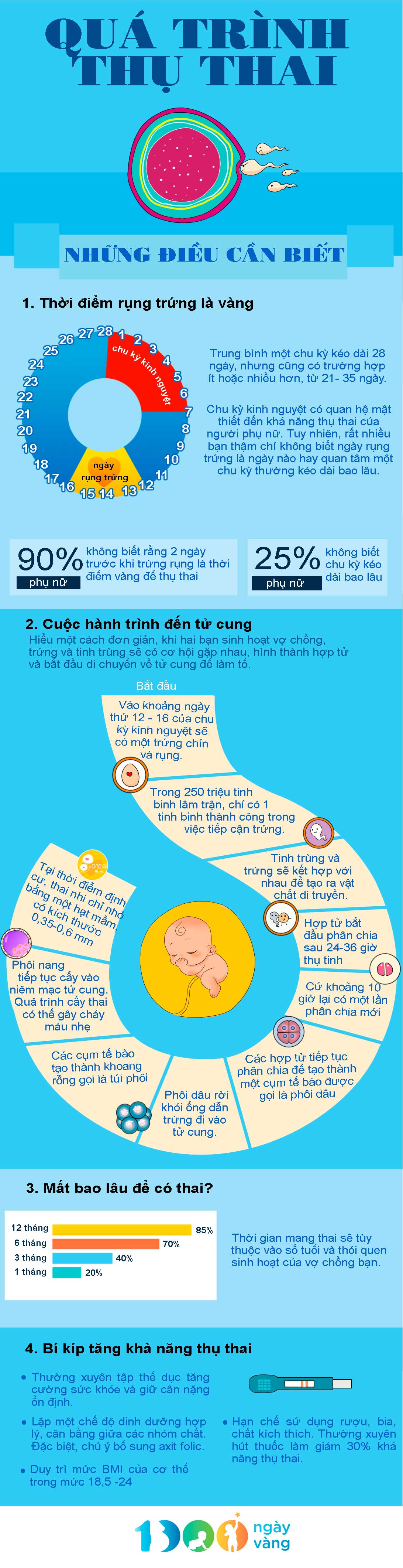 Infographic quá trình thụ thai
