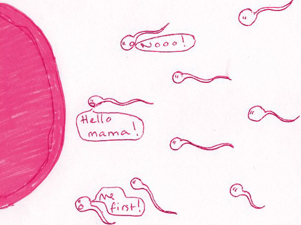 [INFOGRAPHIC] Những điều cần biết về quá trình thụ thai