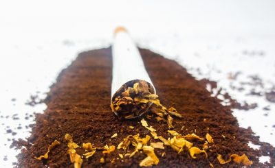 Cách diệt thằn lằn bằng thuốc lá và cà phê