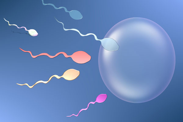Tinh trùng sống được bao lâu: Yếu tố ảnh hưởng khả năng sinh sản