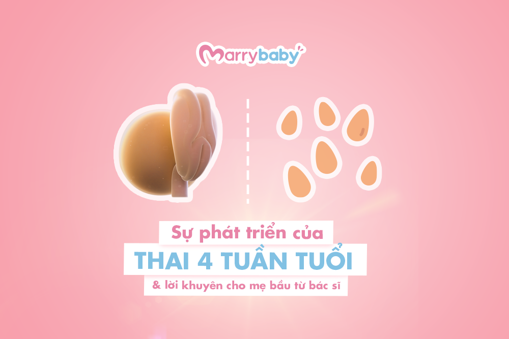 Thai nhi 4 tuần tuổi, mẹ đừng bỏ lỡ sự phát triển của con nhé!
