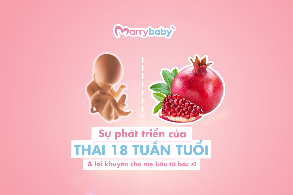 Thai 18 tuần nặng bao nhiêu và thai nhi 18 tuần tuổi phát triển như thế nào?