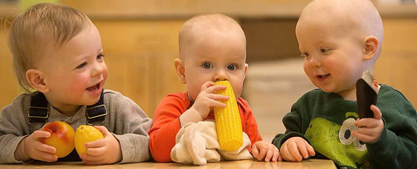 Trị biếng ăn cho trẻ bằng thảo dược an toàn 
