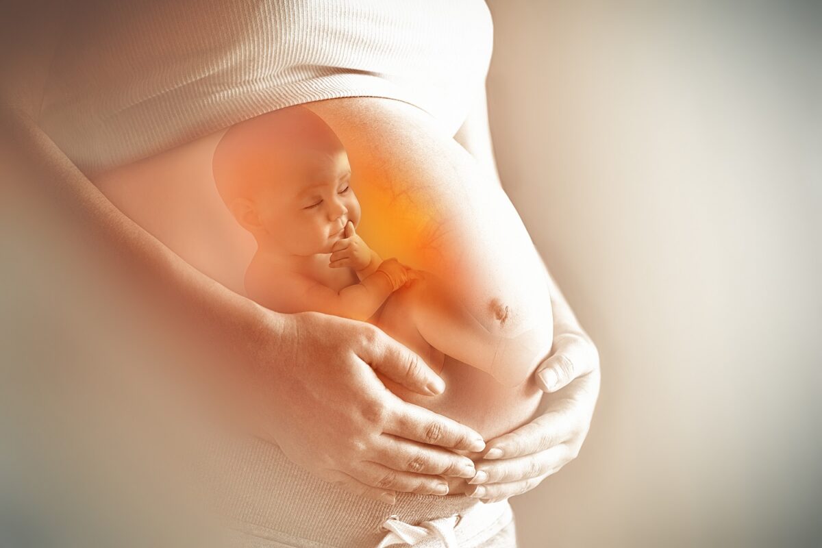thai nhi làm gì trong bụng mẹ
