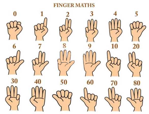 Phương pháp dạy bé học toán Finger Math