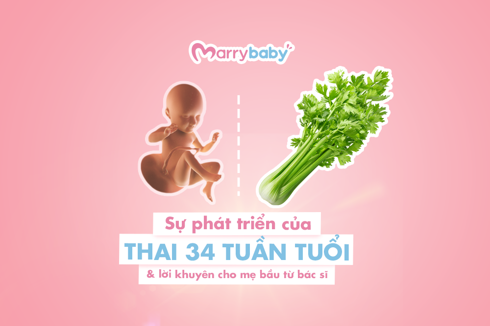 Thai 34 tuần nặng bao nhiêu và sự phát triển của thai nhi