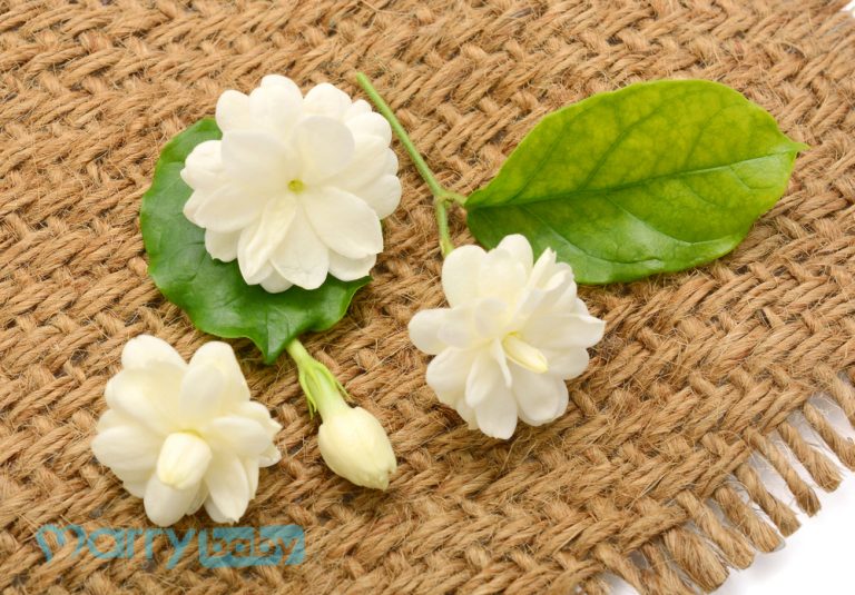 Chăm sóc da cho mẹ bầu: 8 thành phần gây hại thai cần tránh