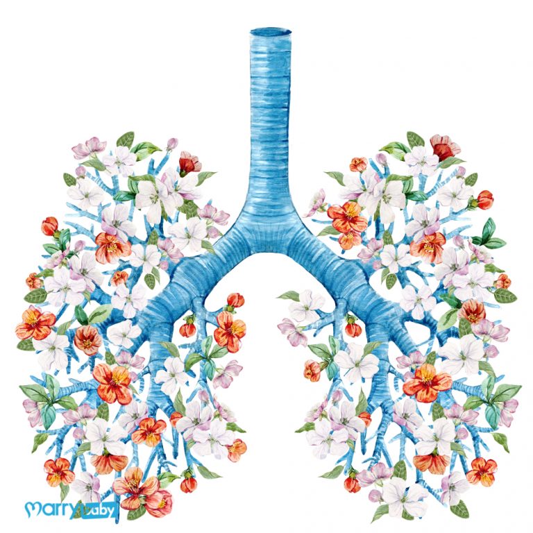 7 cách giải độc phổi tự nhiên cho mùa dịch bệnh