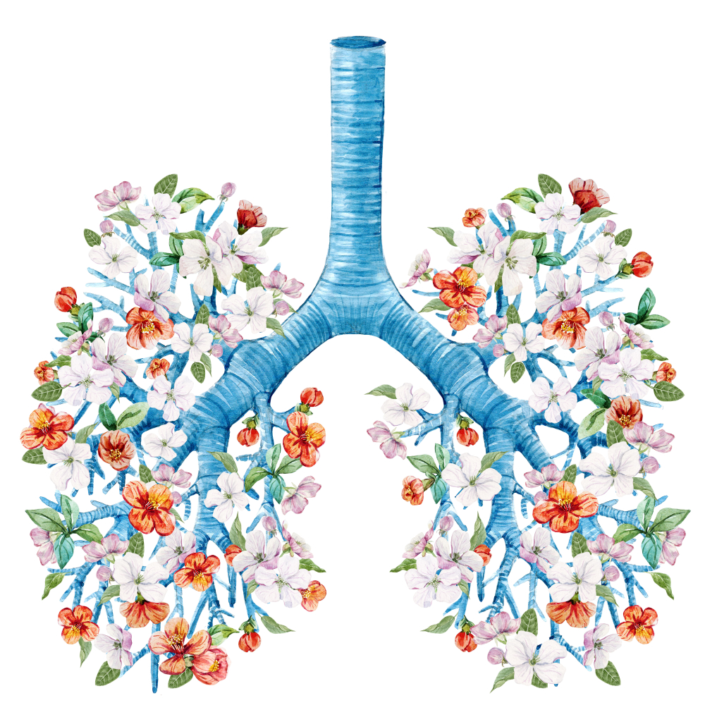 cánh mũi to do chức năng phổi bị ảnh hưởng