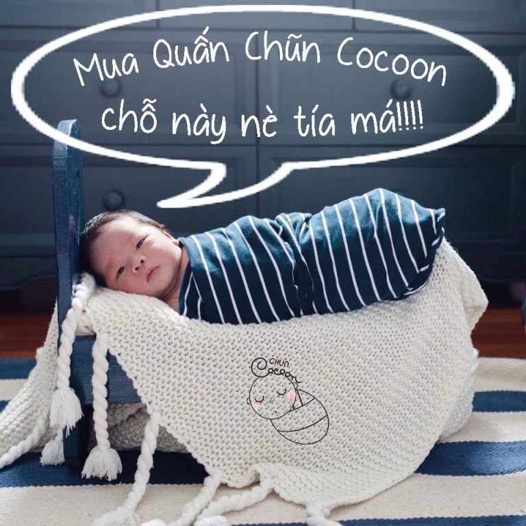 Quấn nhộng chũn Cocoon: quá trình hình thành, phát triển, cách sử dụng