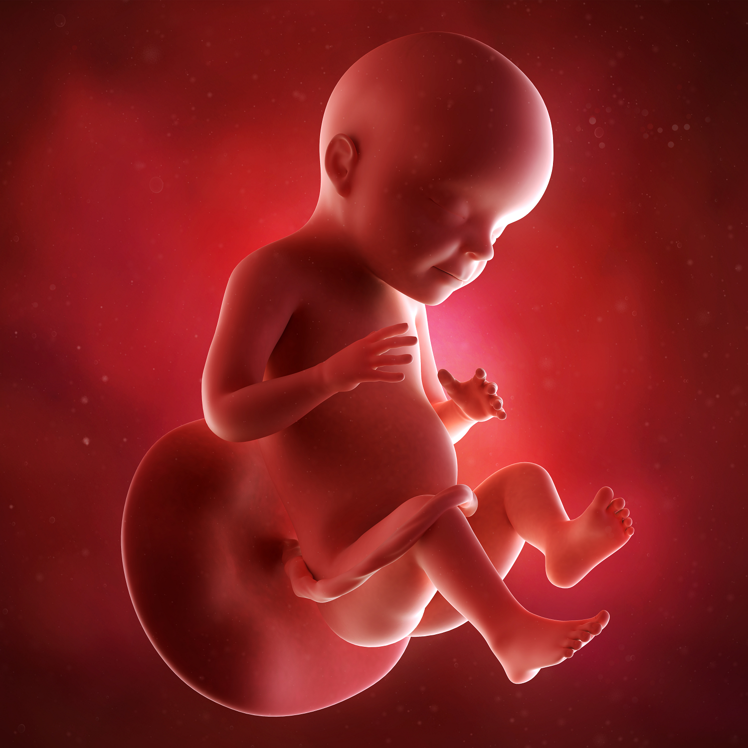 Hướng dẫn Thai 28 tuần: Sự phát triển của thai nhi và cơ thể mẹ #1
