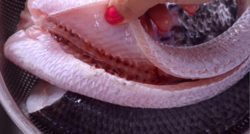 Cách làm ruốc cá quả cho bé ăn dặm: Làm sạch ruột cá