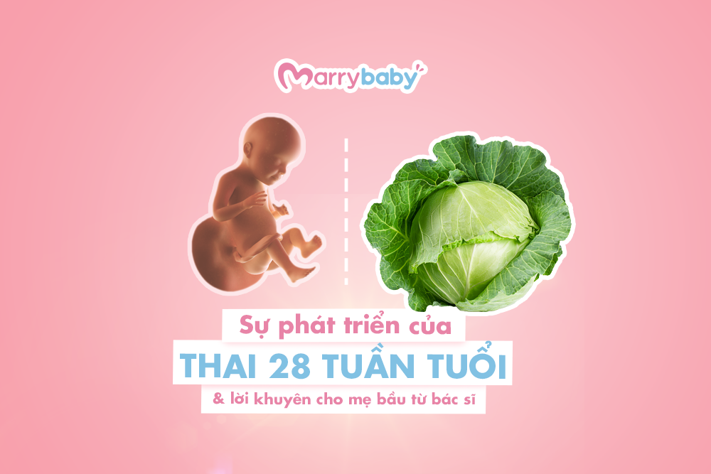 Thai 28 tuần: Sự phát triển của thai nhi và cơ thể mẹ