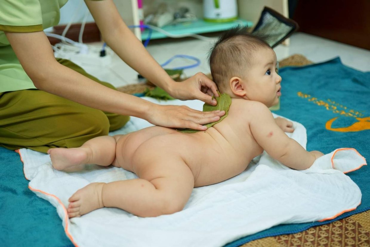 tác dụng của lá trầu không với trẻ sơ sinh giúp trị bệnh ngoài da 