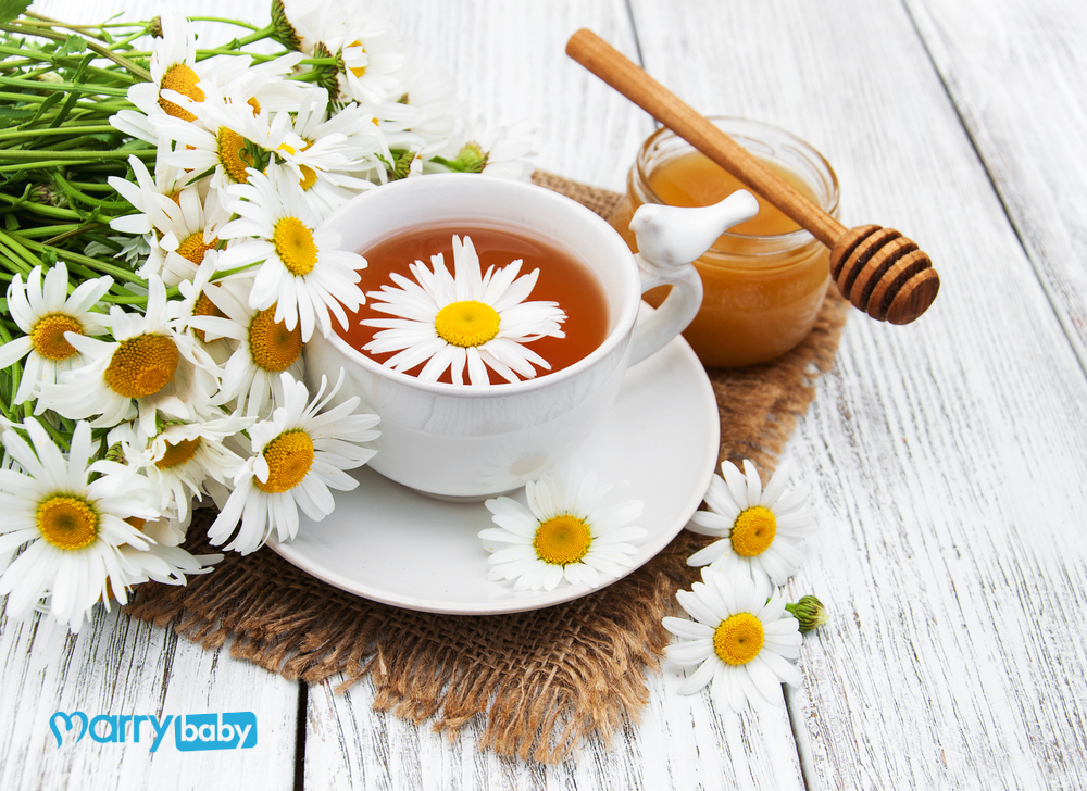 Trà hoa cúc có lợi sữa không? 5 tác dụng của trà hoa cúc