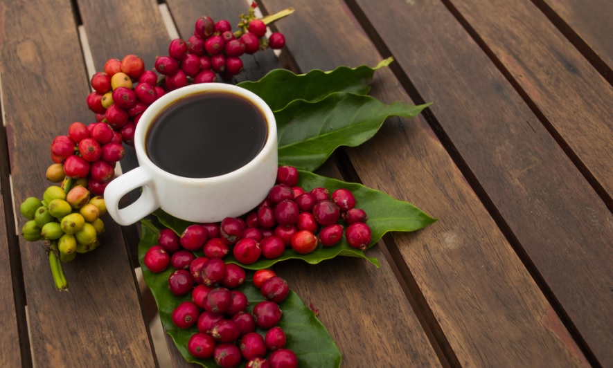 Uống cà phê buổi sáng có giảm cân không? Cách uống cà phê để đánh tan mỡ bụng