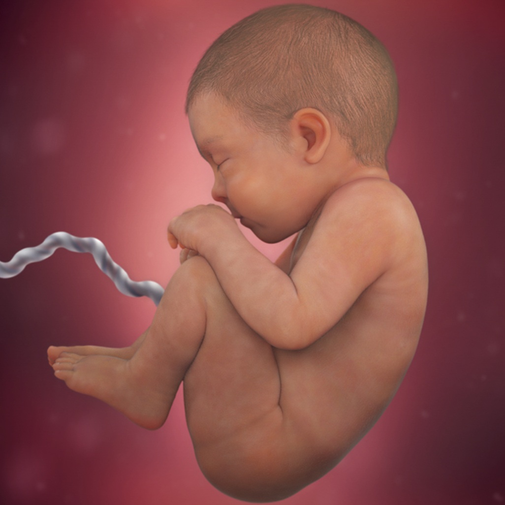Sự phát triển của thai nhi: thai 42 tuần chưa sinh có đáng lo?