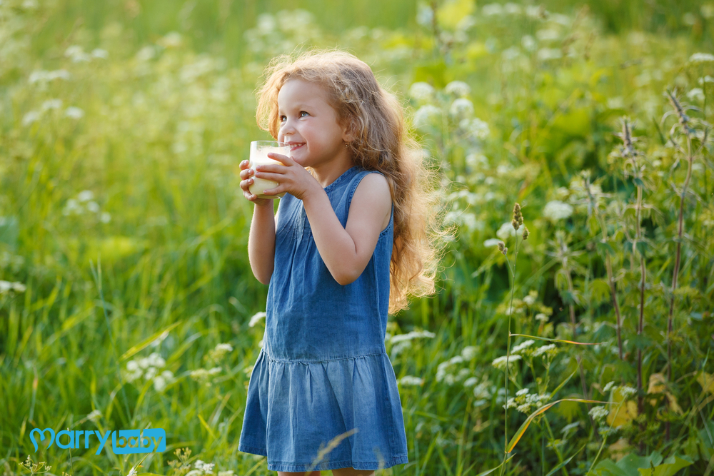 Trẻ em uống sữa buổi sáng có tốt không?