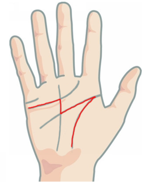 tướng bàn tay nhiều có: tín hiệu chữ M trong tâm bàn tay