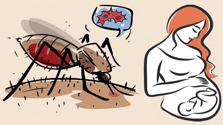 Mang thai bị sốt xuất huyết nguy hiểm như thế nào?