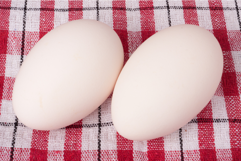 tác dụng của trứng ngỗng giúp xây dựng cơ bắp và tăng cường năng lượng