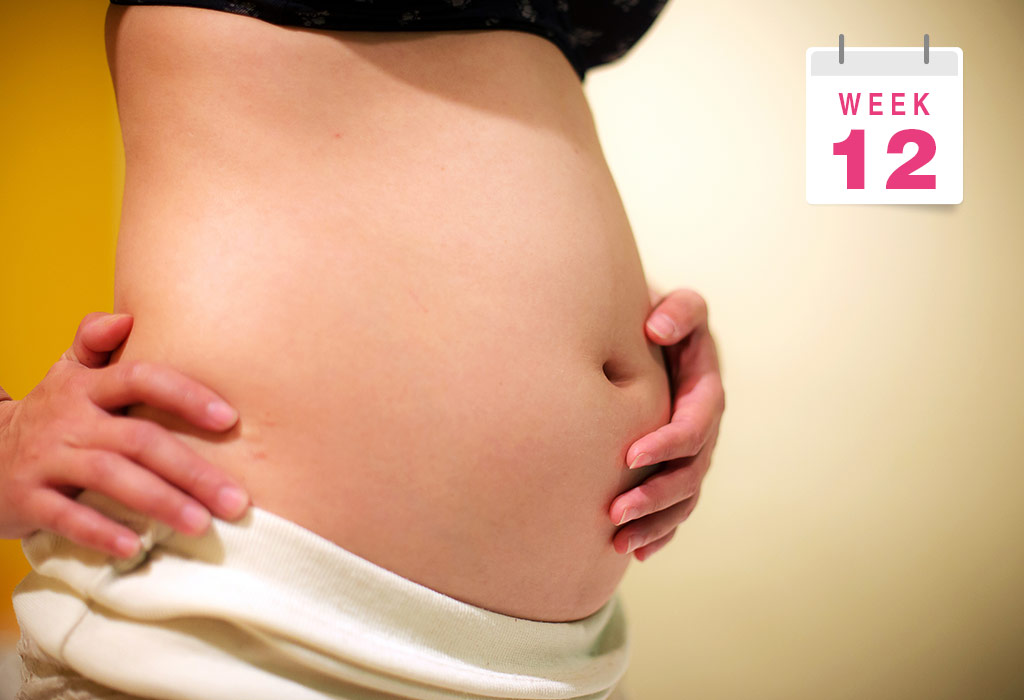Bộ phận sinh dục thai nhi 12 tuần