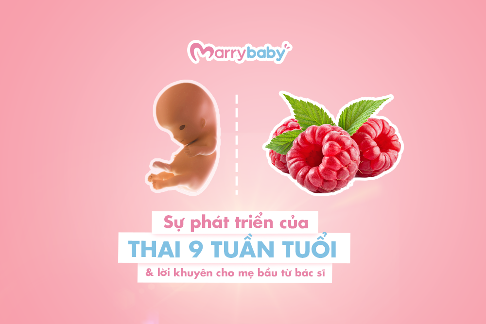 Thai 9 tuần tuổi: Sự phát triển nhanh chóng của bé sẽ làm mẹ ngạc nhiên