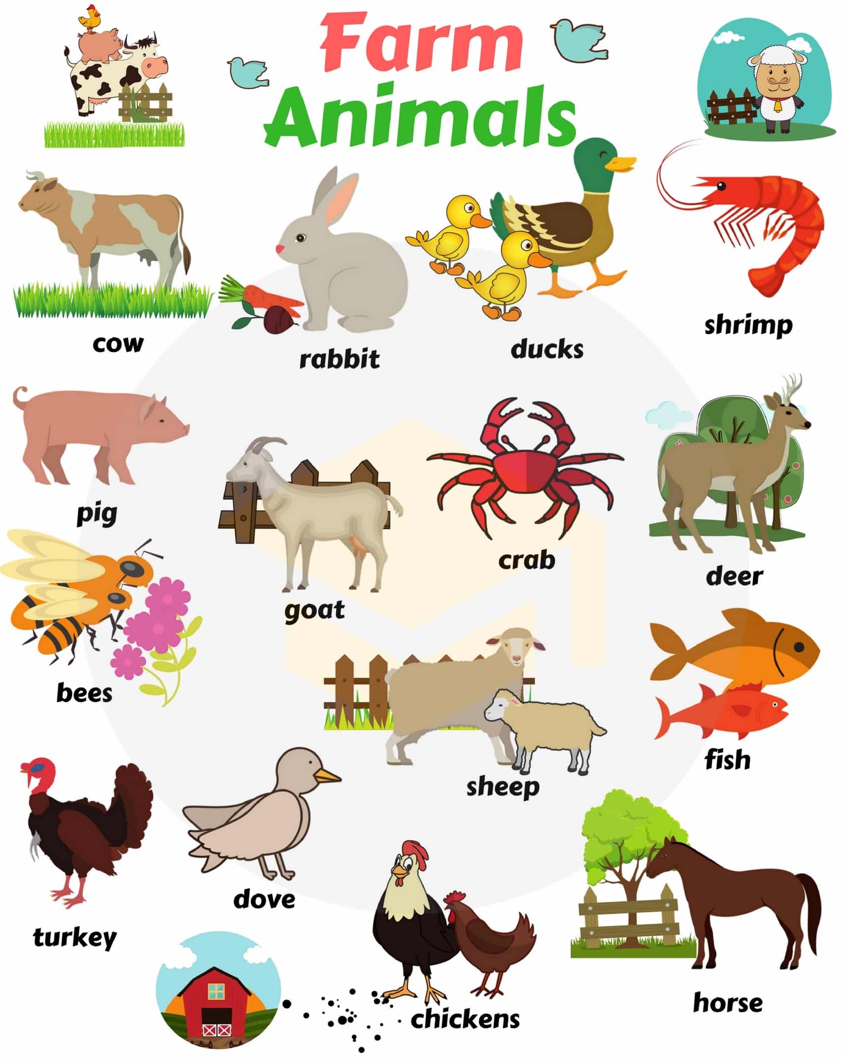 Học tên các con vật bằng tiếng Anh 