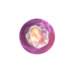 Infant