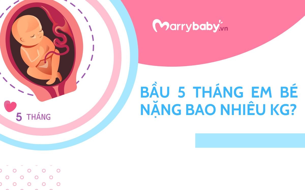 Thai 5 tháng nặng bao nhiêu và bảng cân nặng chuẩn của thai nhi