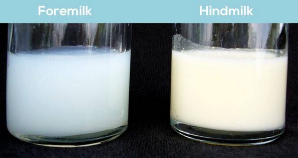 cách phân biệt sữa đầu và sữa cuối