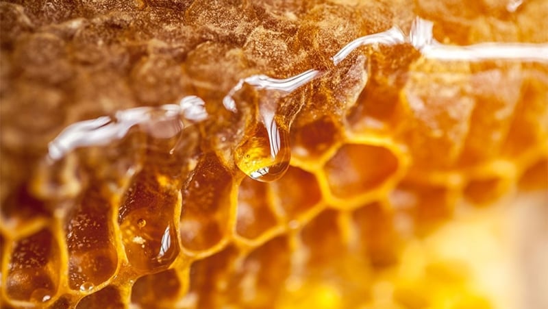 Mật ong để được bao lâu? Cách bảo quản mật ong chuẩn không cần chỉnh