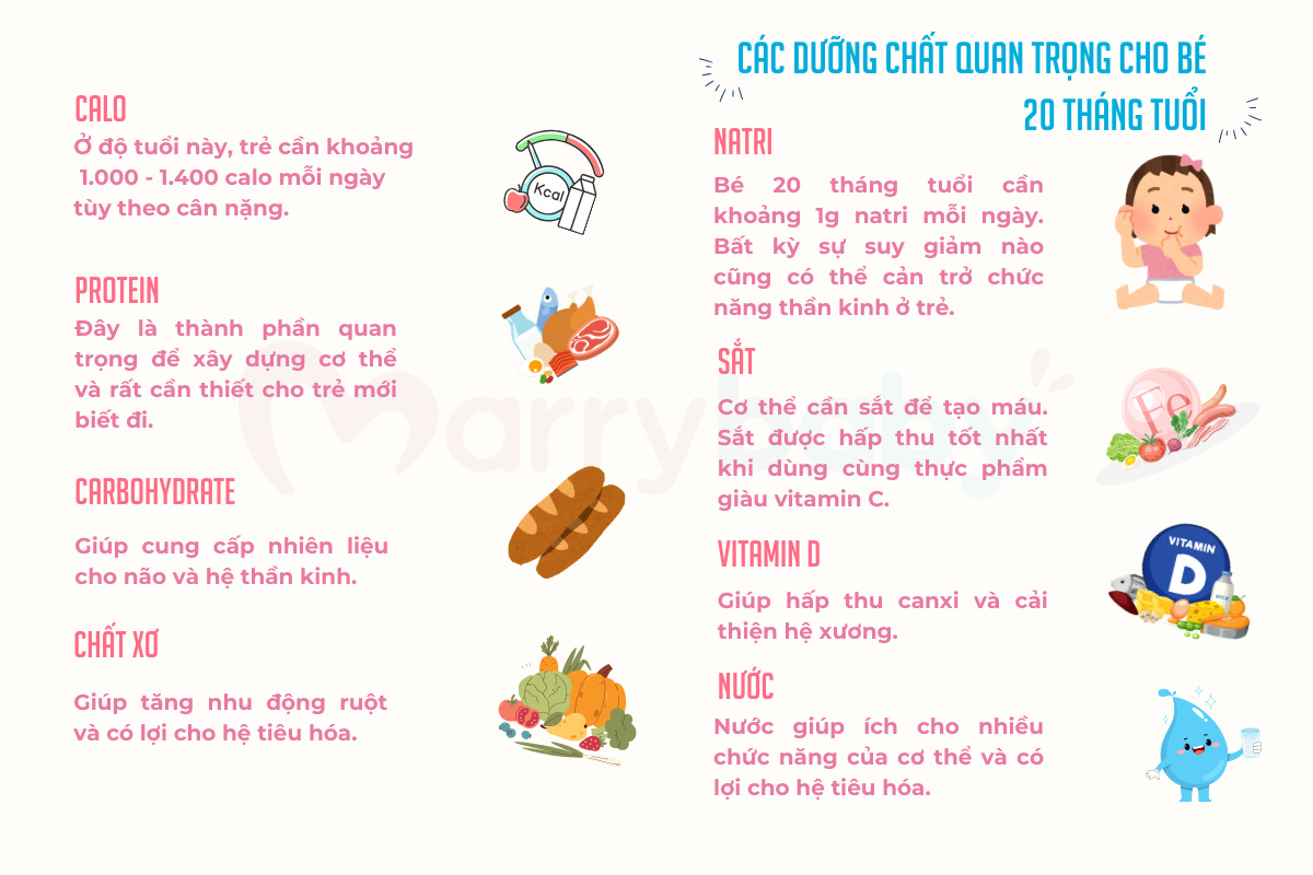 Thực đơn cho bé 20 tháng tuổi