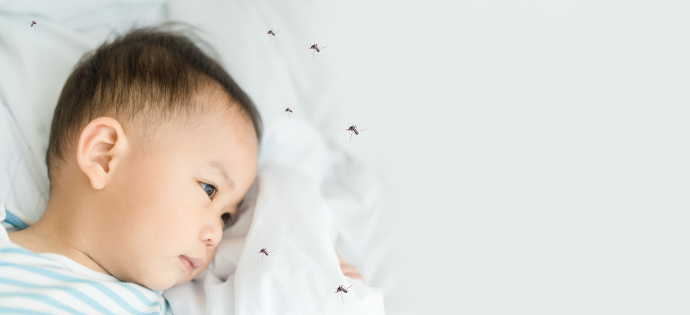 Sốt xuất huyết ở trẻ sơ sinh: Nhận biết sớm để điều trị kịp thời