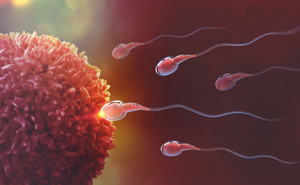 Sau bơm iui bao lâu thì tinh trùng gặp trứng? Sự khác biệt giữa iui và quá trình thụ thai
