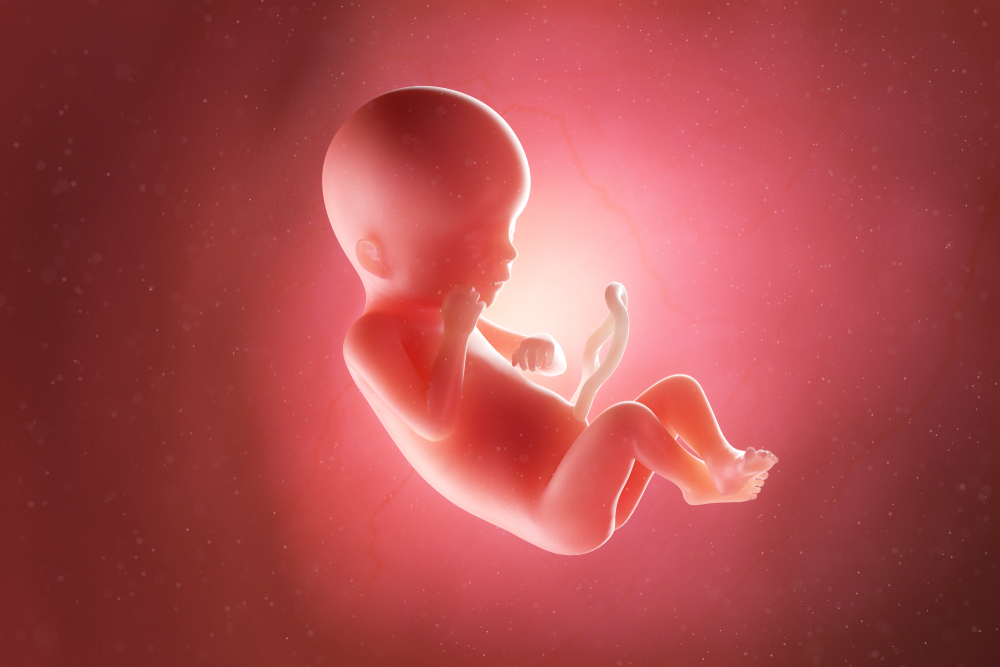 dấu hiệu bất thường khi mang thai 3 tháng giữa: sự phát triển của thai nhi