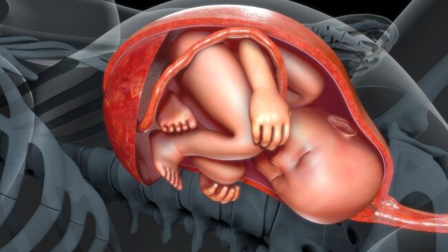 Vị trí thai nhi trong bụng mẹ 3 tháng giữa thế nào mới là an toàn?