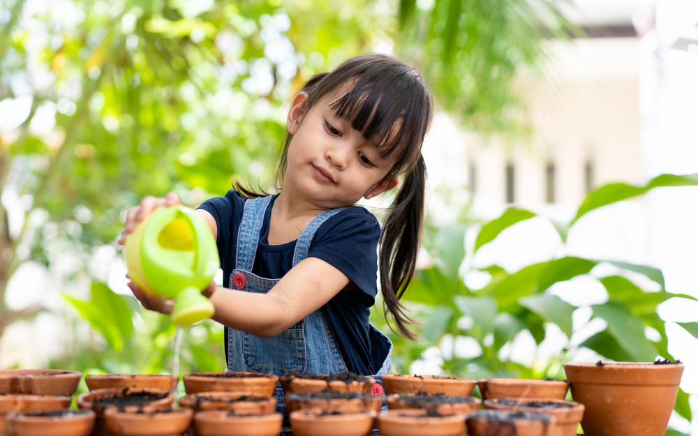 trí tuệ về tự nhiên