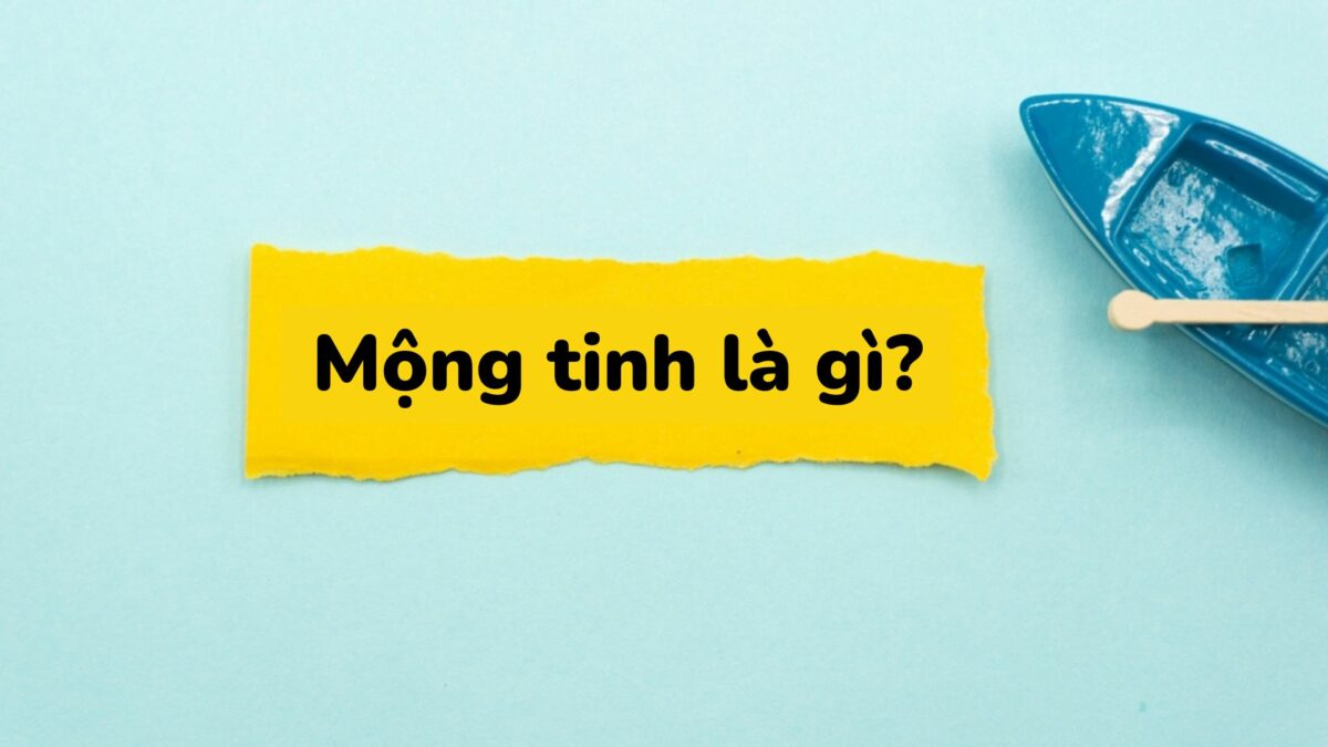 mộng tinh là gì