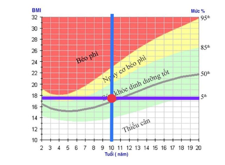 Chỉ số BMI trẻ em được tính như thế nào? - MarryBaby